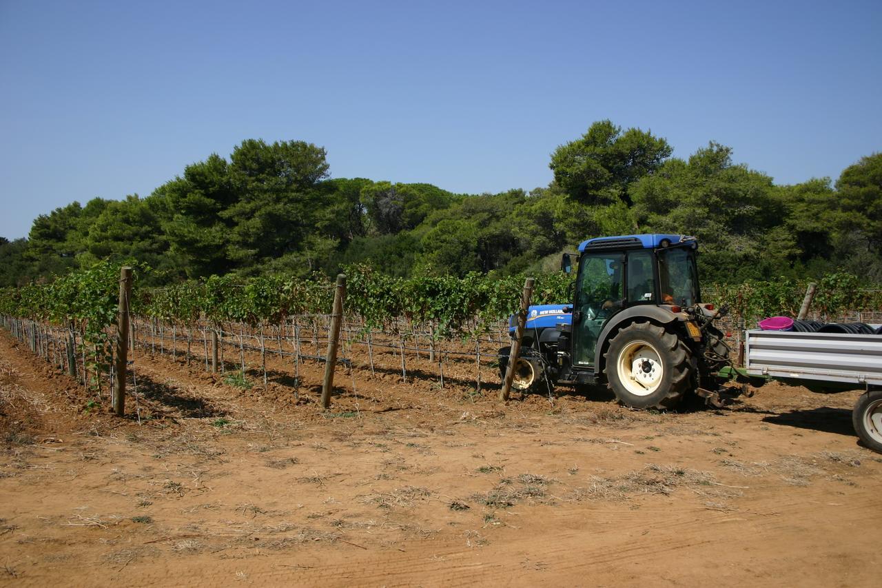 Agriturismo Vigna Corallo Otranto Exterior photo